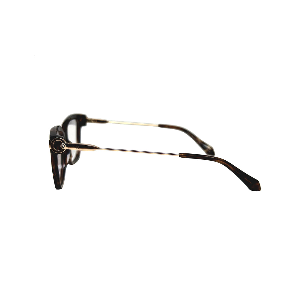 Lens House Premium Collection - Soleria