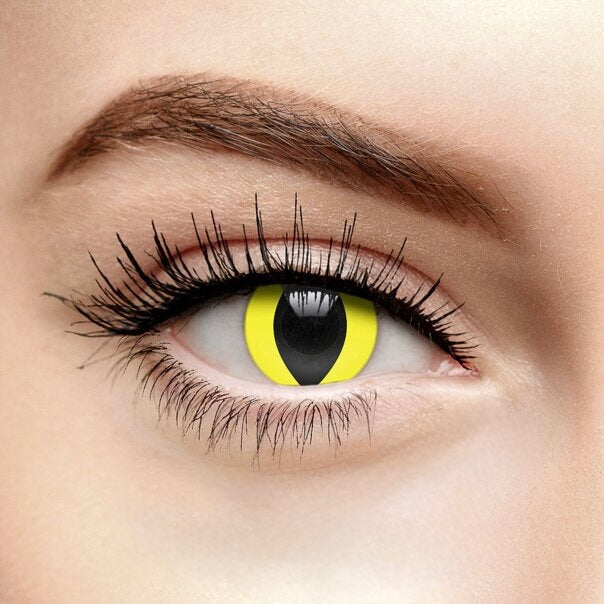 Lentes de Contacto Halloween Anyday - Miradas que Impactan